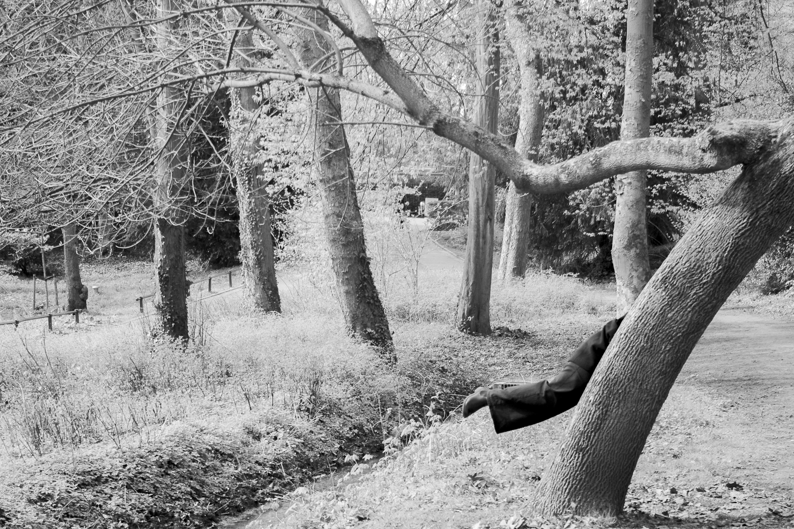 Photographie — À la manière d&rsquo;Arno Minkkinen
