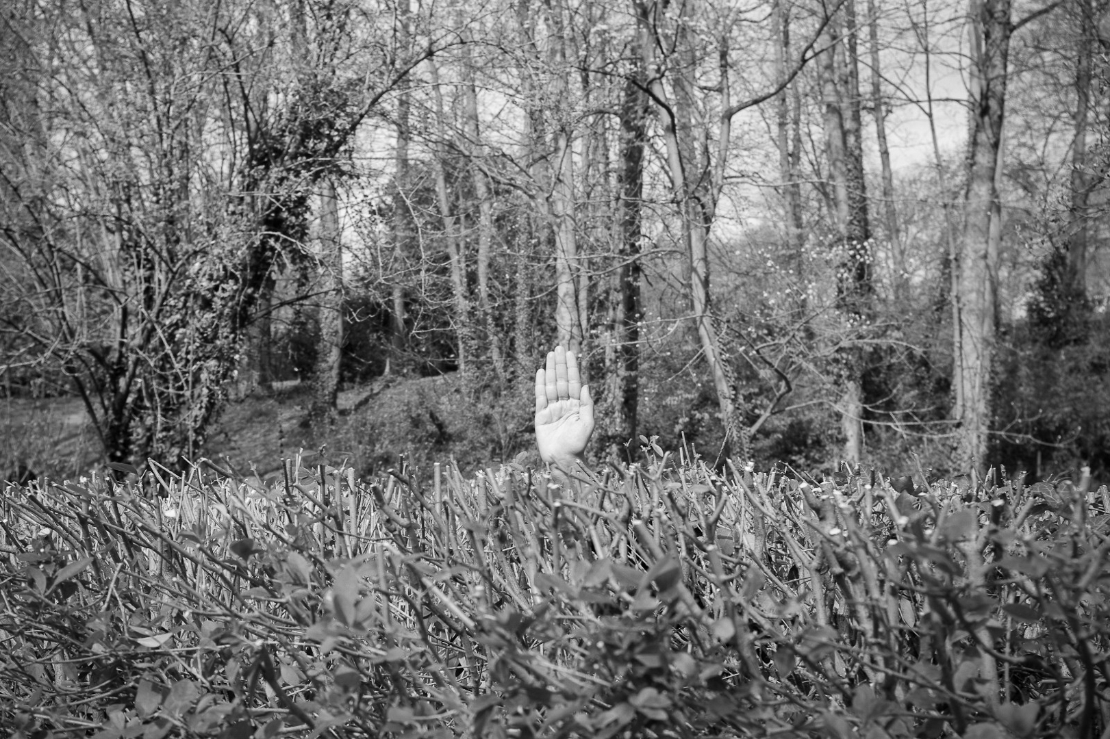 Photographie — À la manière d&rsquo;Arno Minkkinen