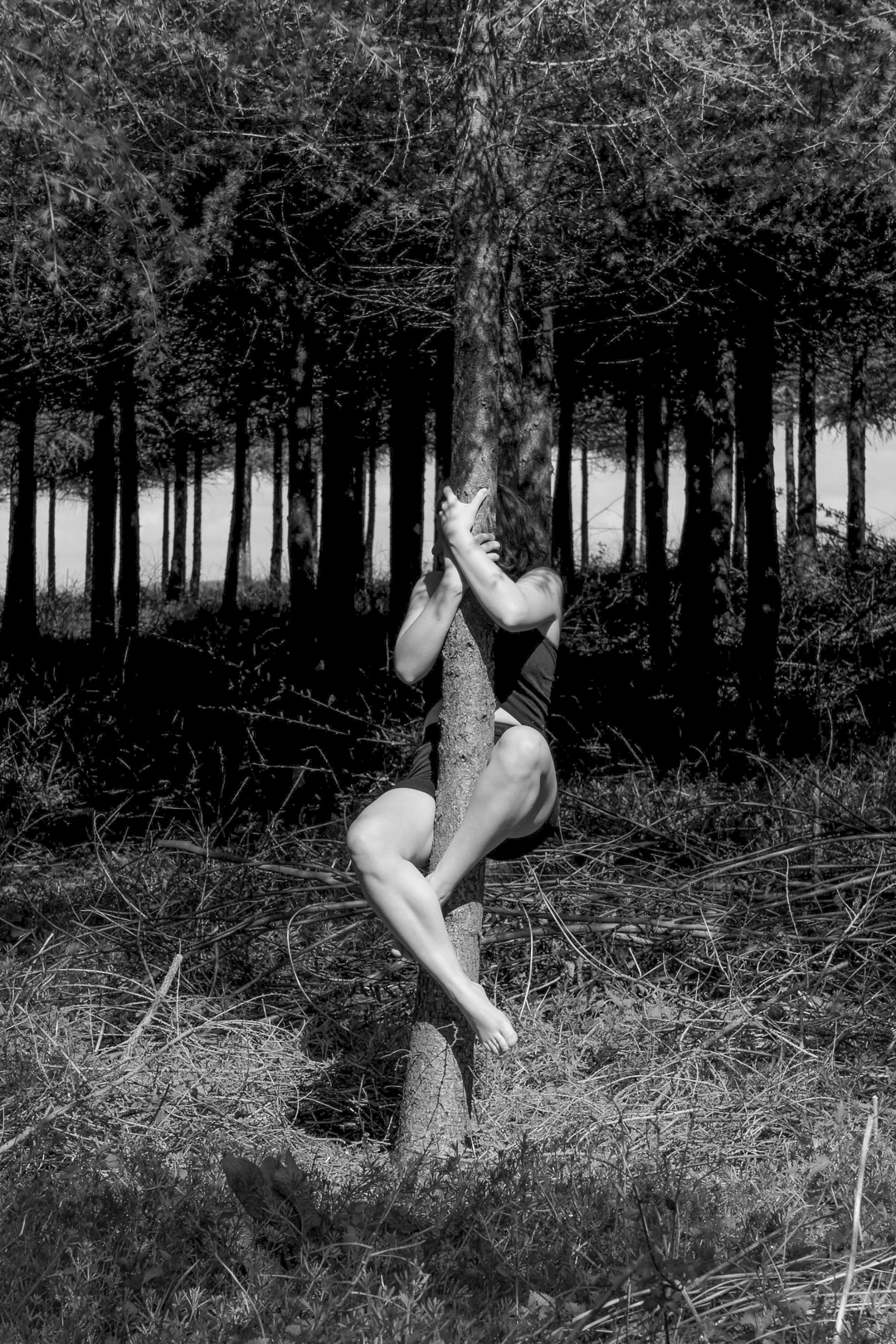 Photographie — À la manière d&rsquo;Arno Minkkinen