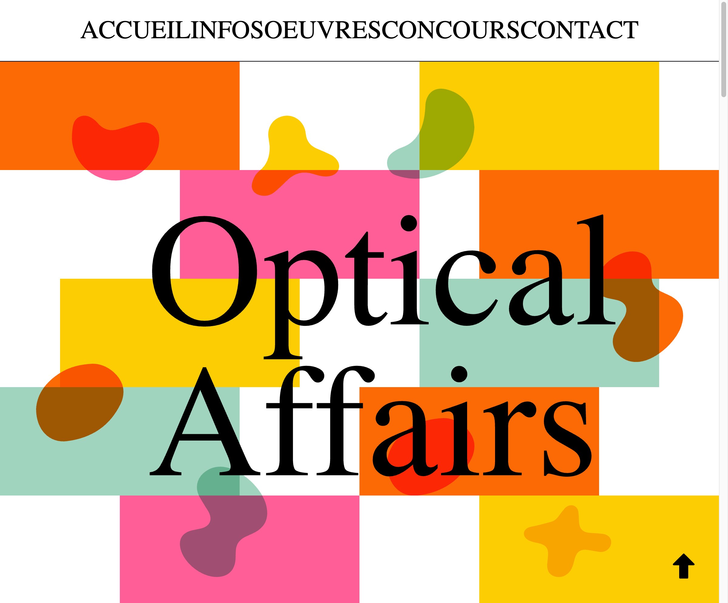 AMM — Selin / Optical Affairs