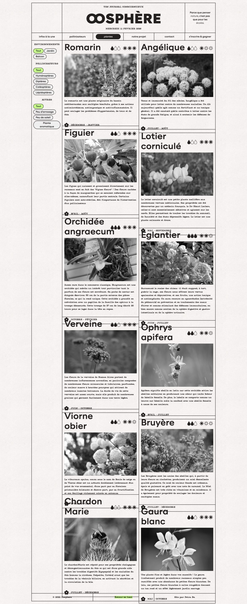 TFE — Petra / Oosphere