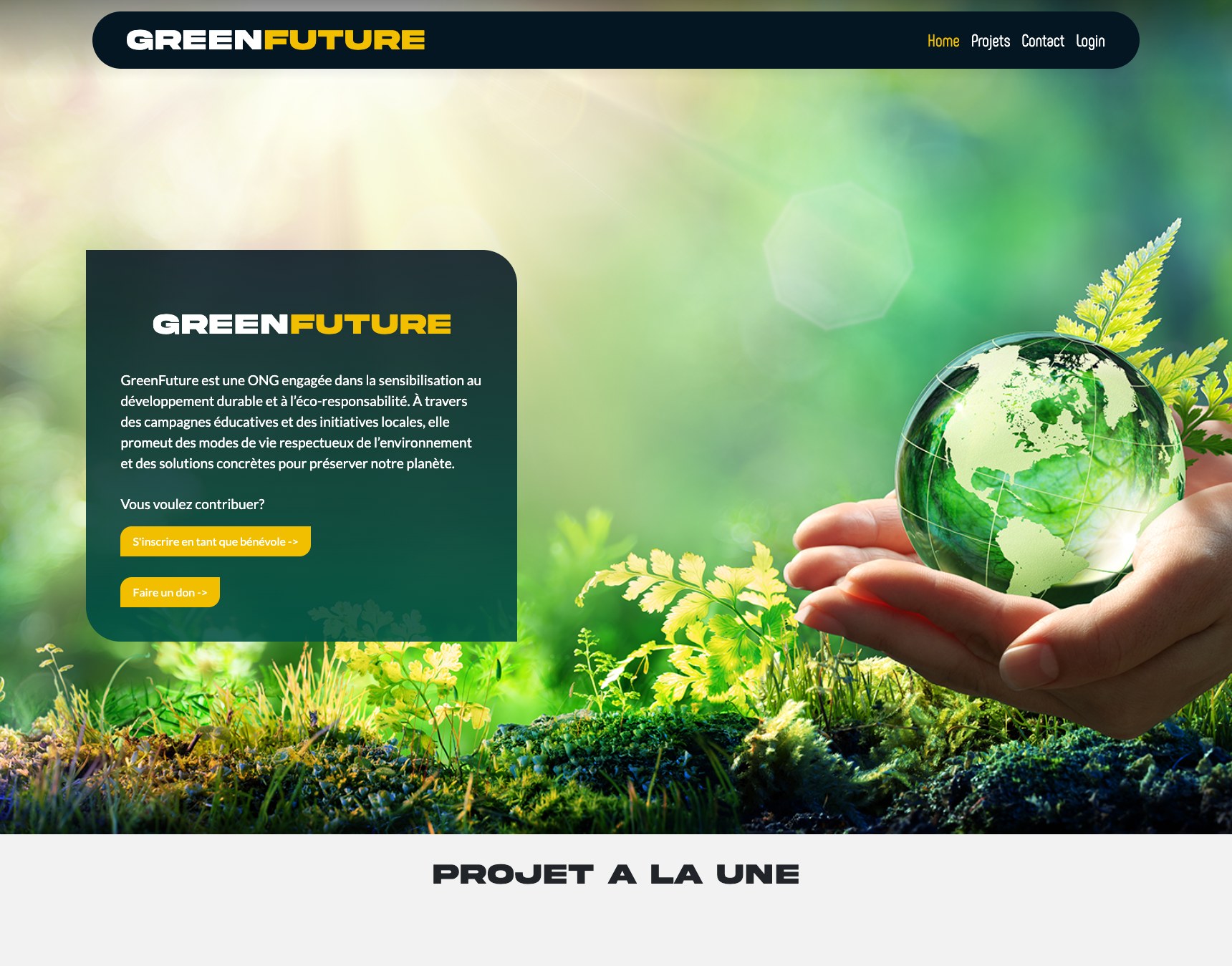 Aliyar — Portfolio