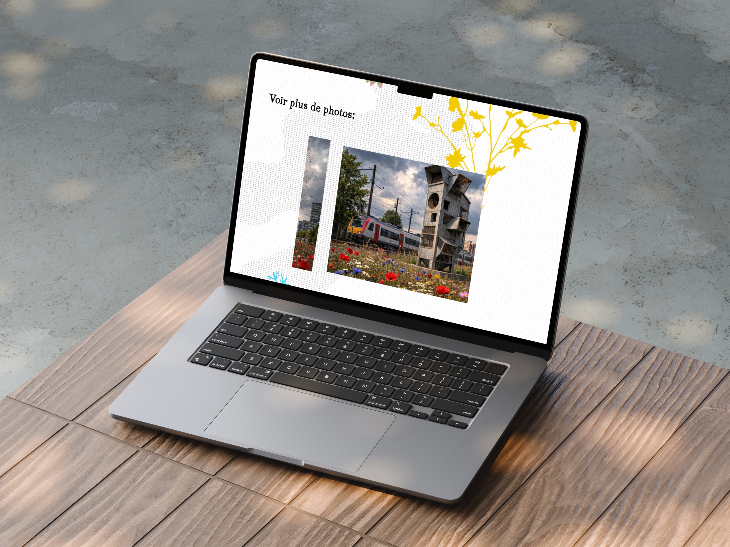 WEB – Objet fictionnel